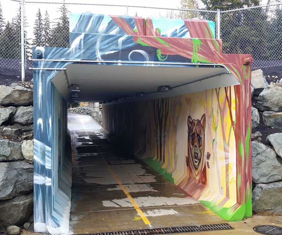 Tunnel under a road including stormwater drainage